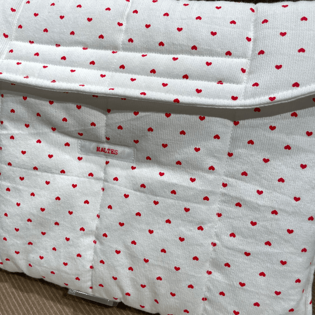 Pochette d'ordinateur coeurs